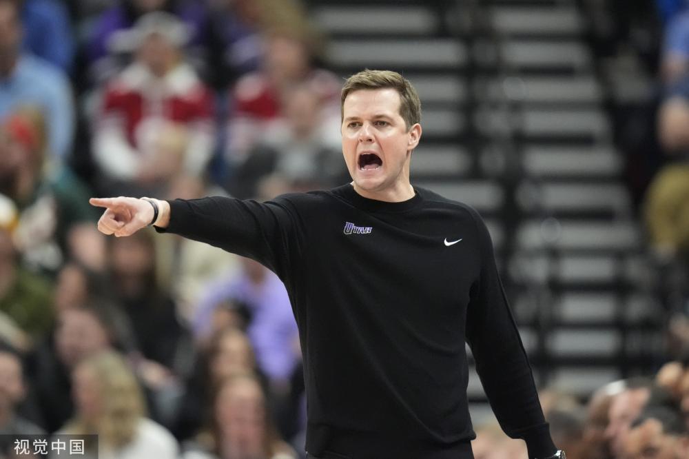 评论员可能 评论员可能