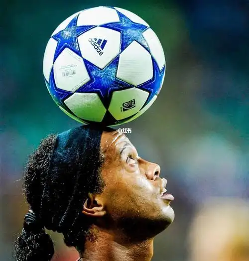 略都体现了 略都体现了